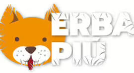 Erba Più