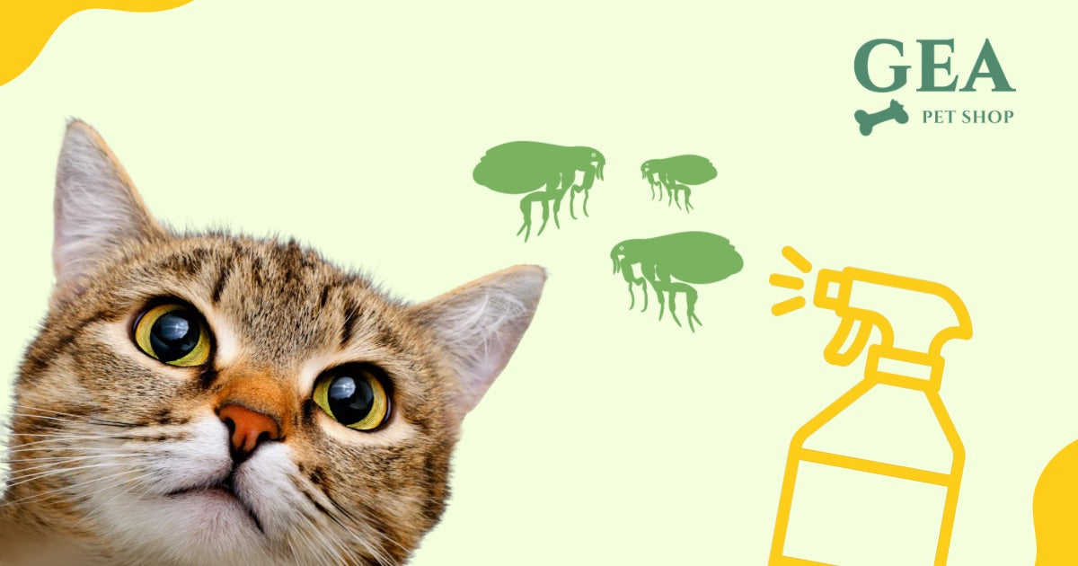 Antiparassitari per Gatto: Guida Completa per Scegliere il Trattamento Giusto