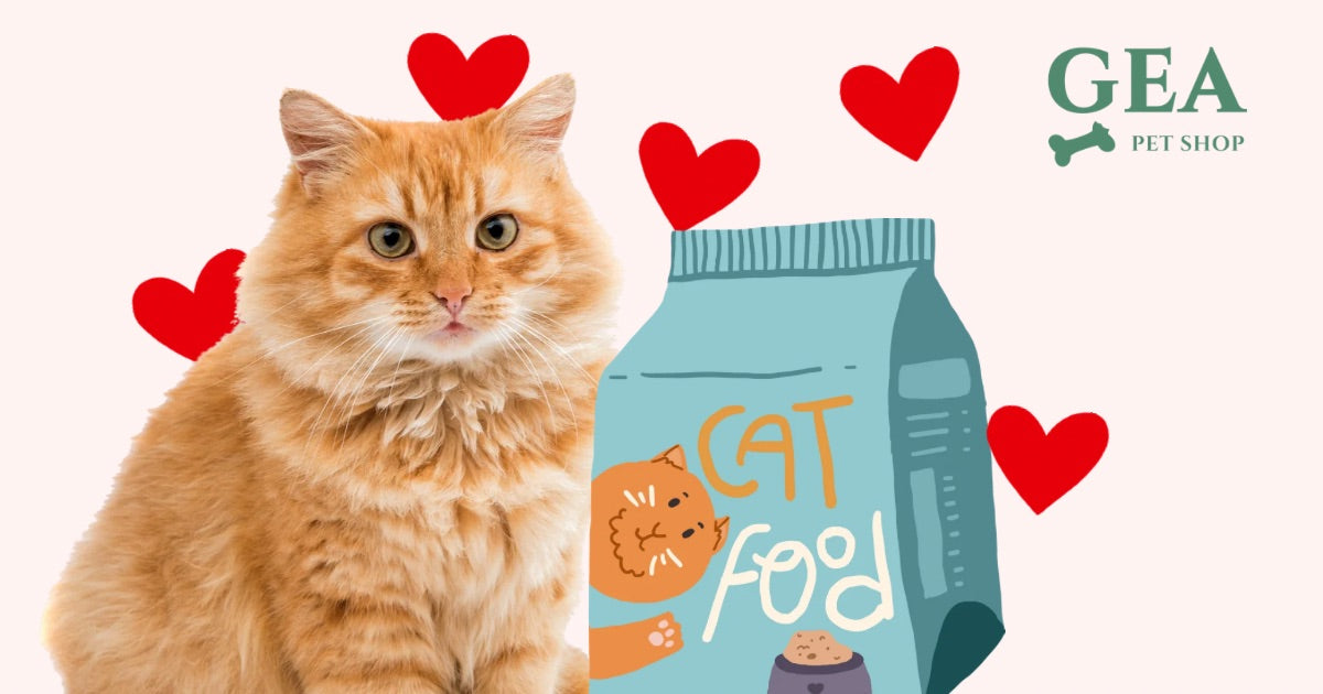 Cibo Preferito dei Gatti: Cosa Mangiano Davvero e Come Nutrirli al Meglio
