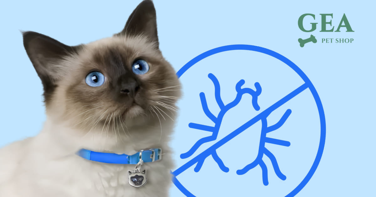 Collari Antipulci per il Gatto: Guida Completa alla Scelta e all'Uso