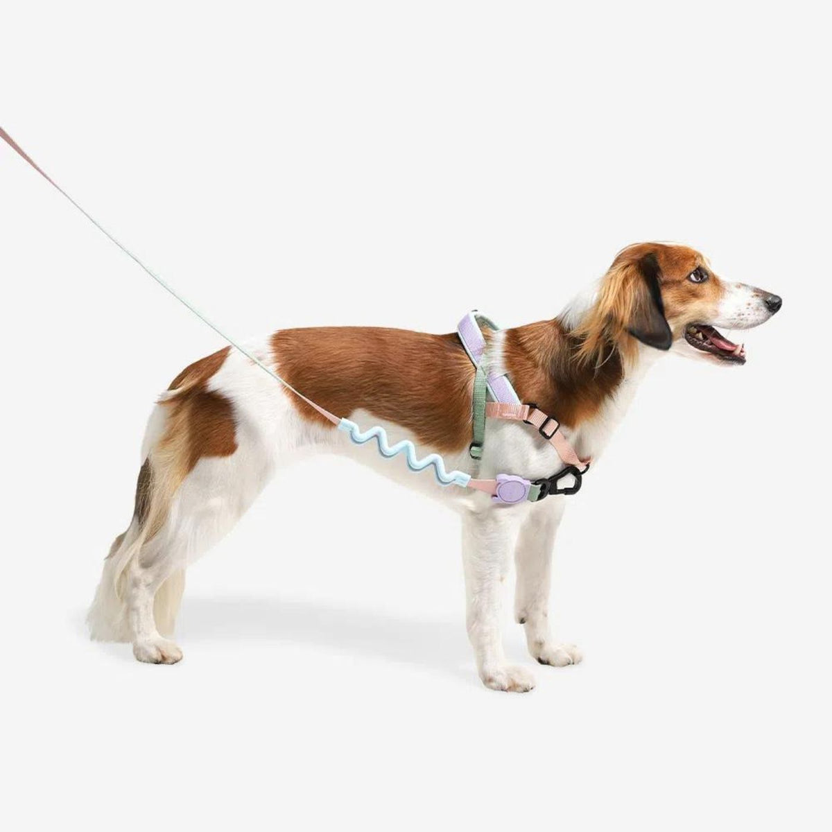 Zee.Dog Pettorina Norvegese Softer-Walk per Cani Peach