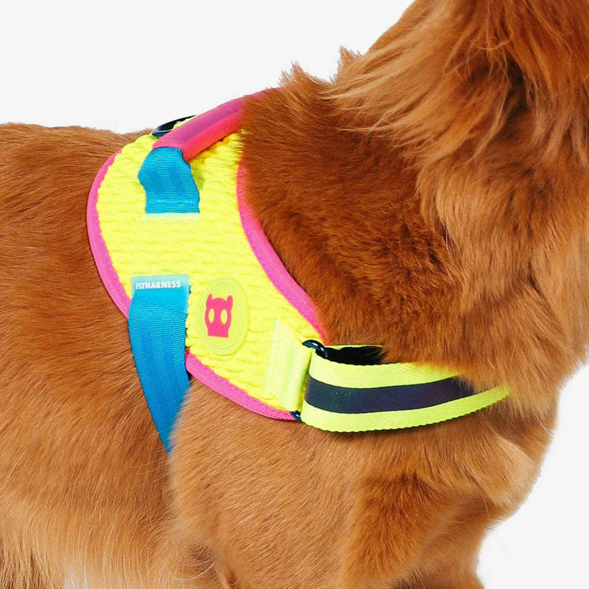 Zee.Dog Pettorina per Cani con Maniglia Flyharness CMYK