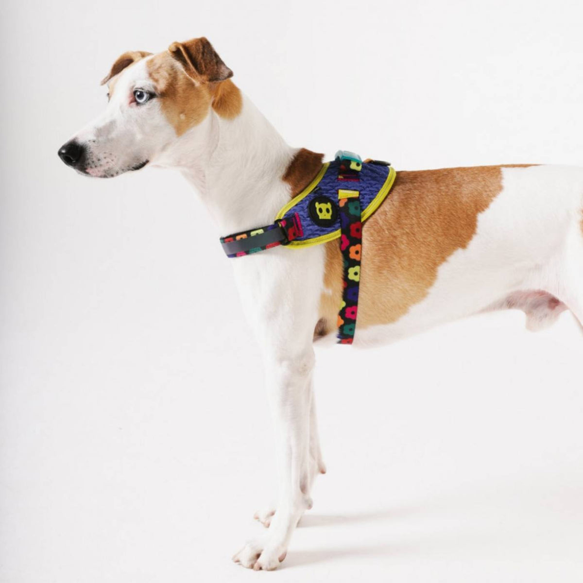 Zee.Dog Pettorina per Cani con Maniglia Flyharness Farm Rio Samba