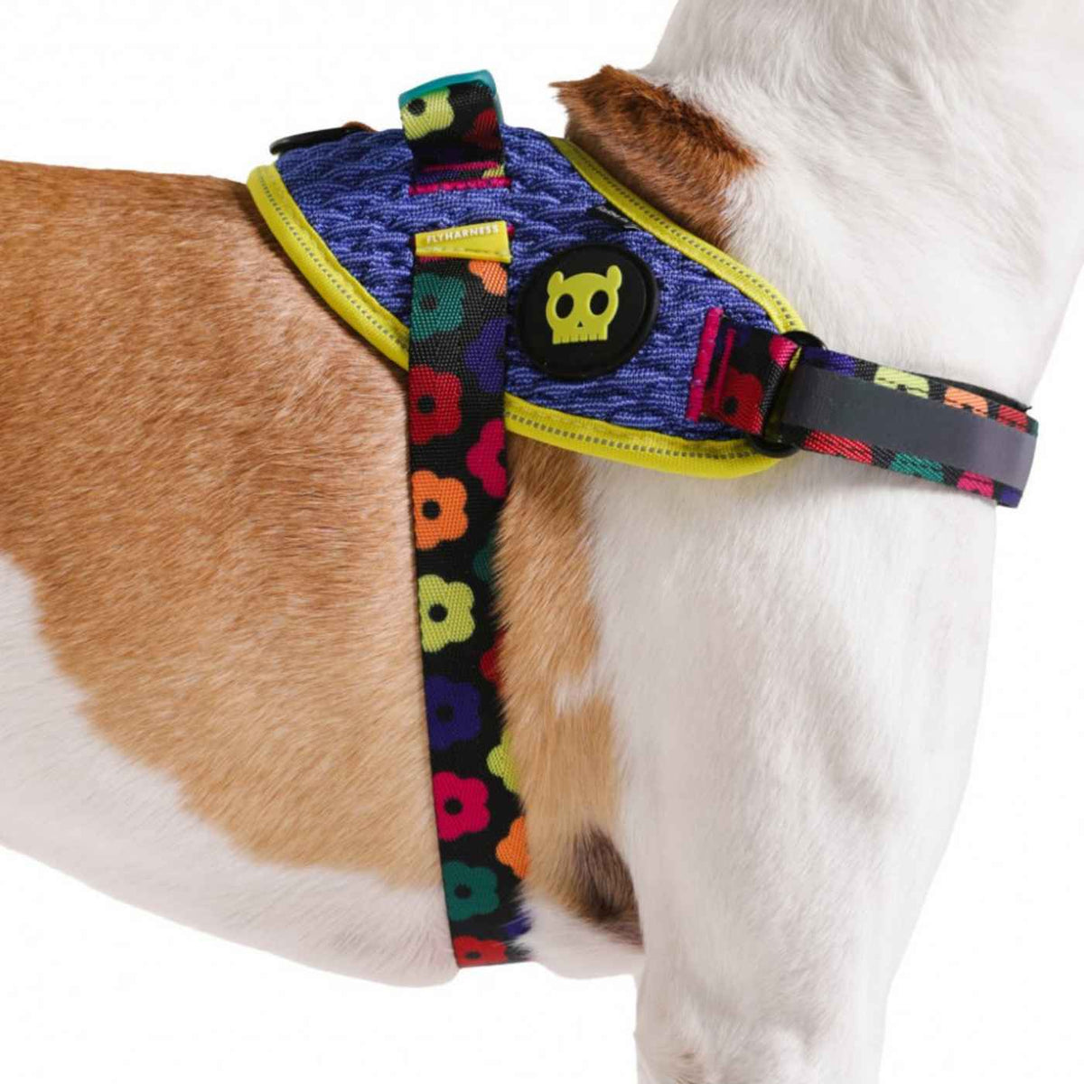 Zee.Dog Pettorina per Cani con Maniglia Flyharness Farm Rio Samba