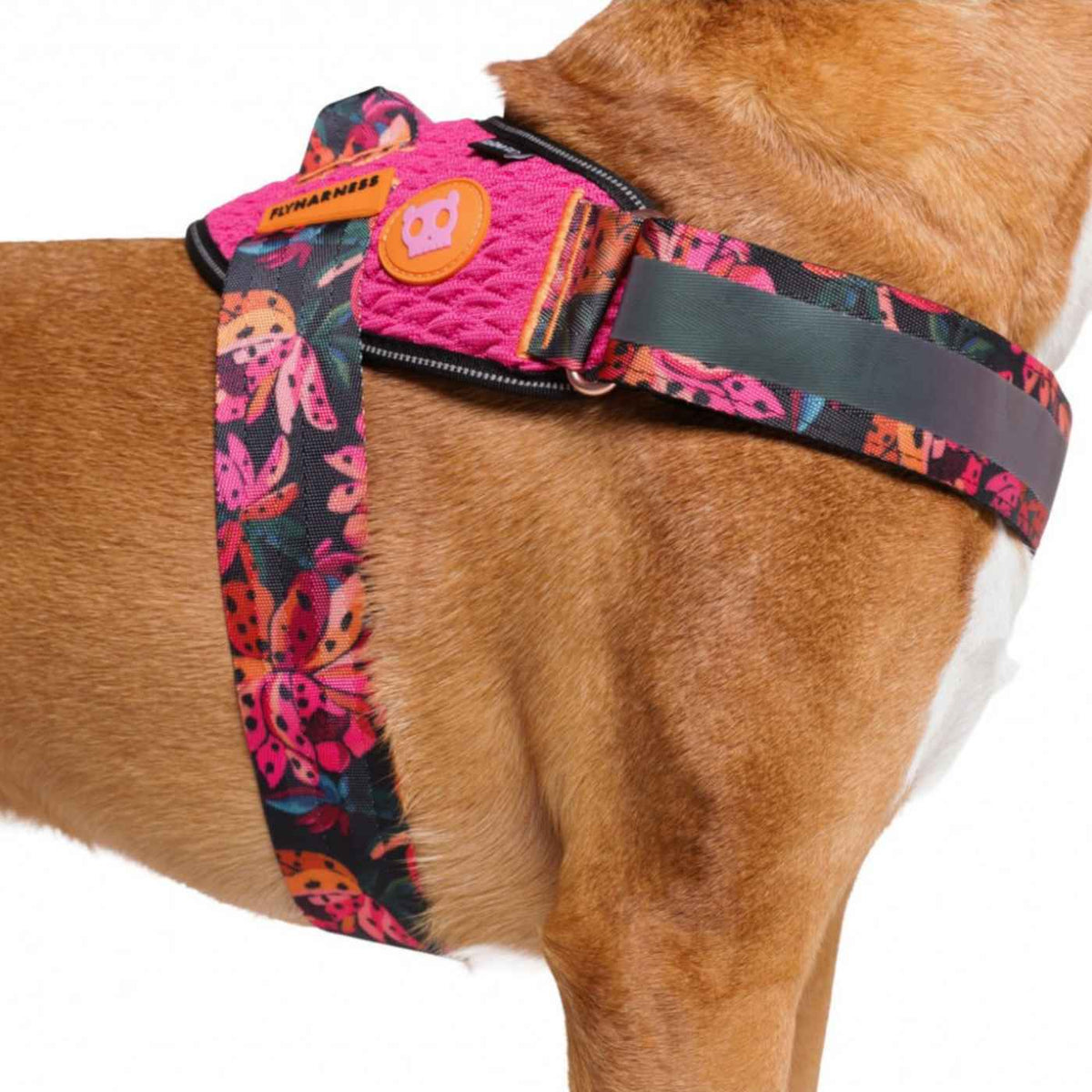 Zee.Dog Pettorina per Cani con Maniglia Flyharness Farm Rio Selva