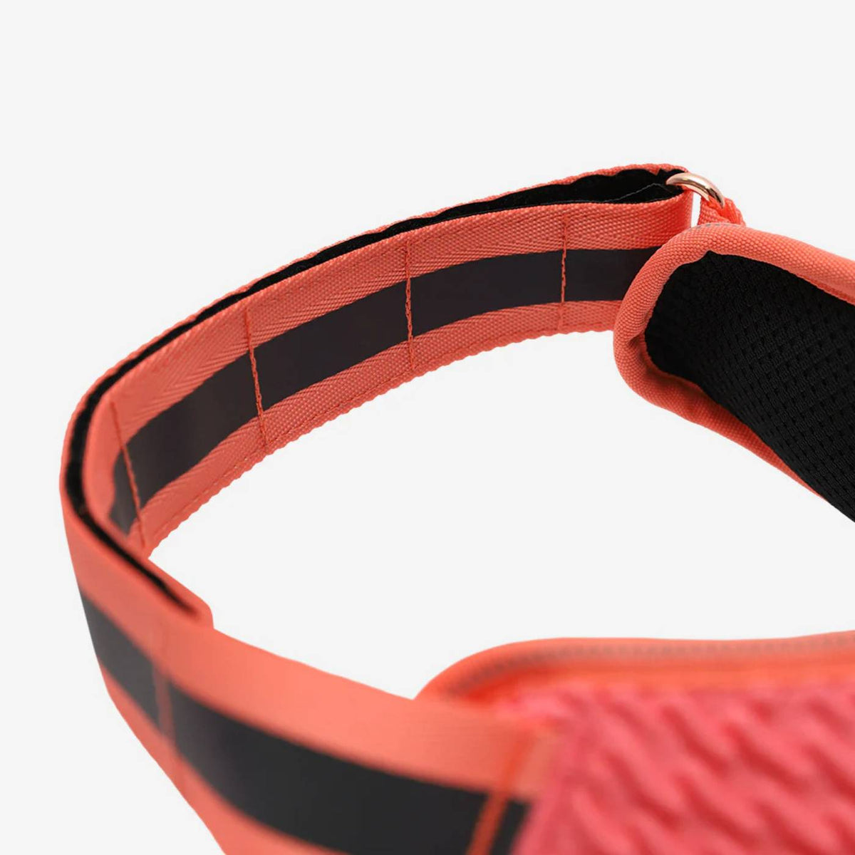 Zee.Dog Pettorina per Cani con Maniglia Flyharness Gazelle