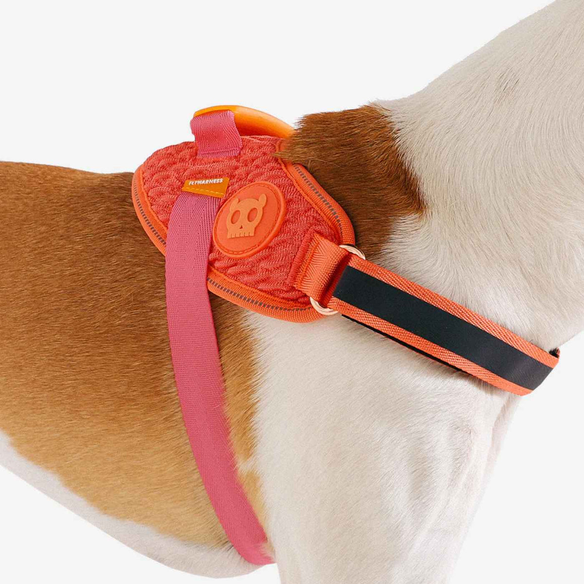 Zee.Dog Pettorina per Cani con Maniglia Flyharness Gazelle