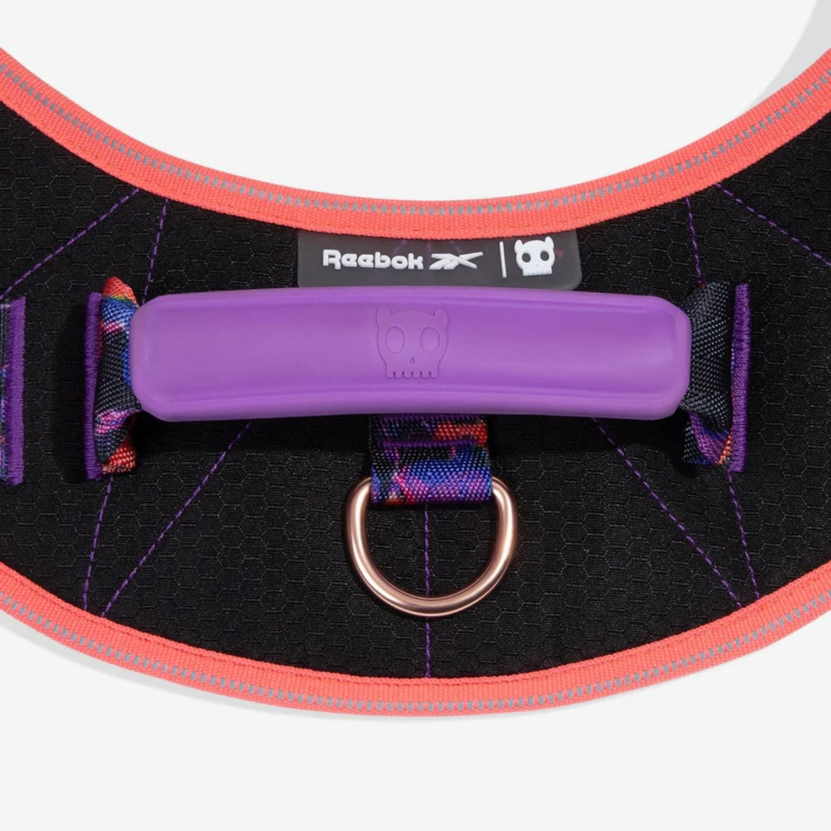 Zee.Dog Pettorina per Cani con Maniglia Flyharness Reebook Court