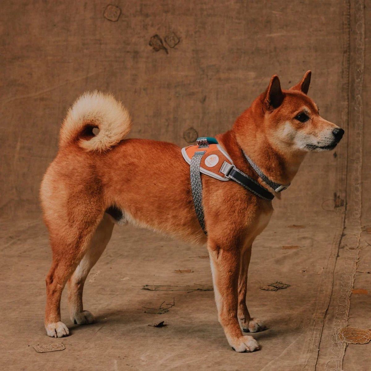 Zee.Dog Pettorina per Cani con Maniglia Flyharness Reebook Suede
