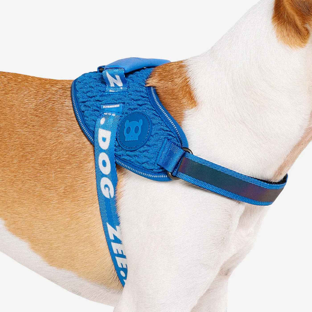 Zee.Dog Pettorina per Cani con Maniglia Flyharness Slam Dunk