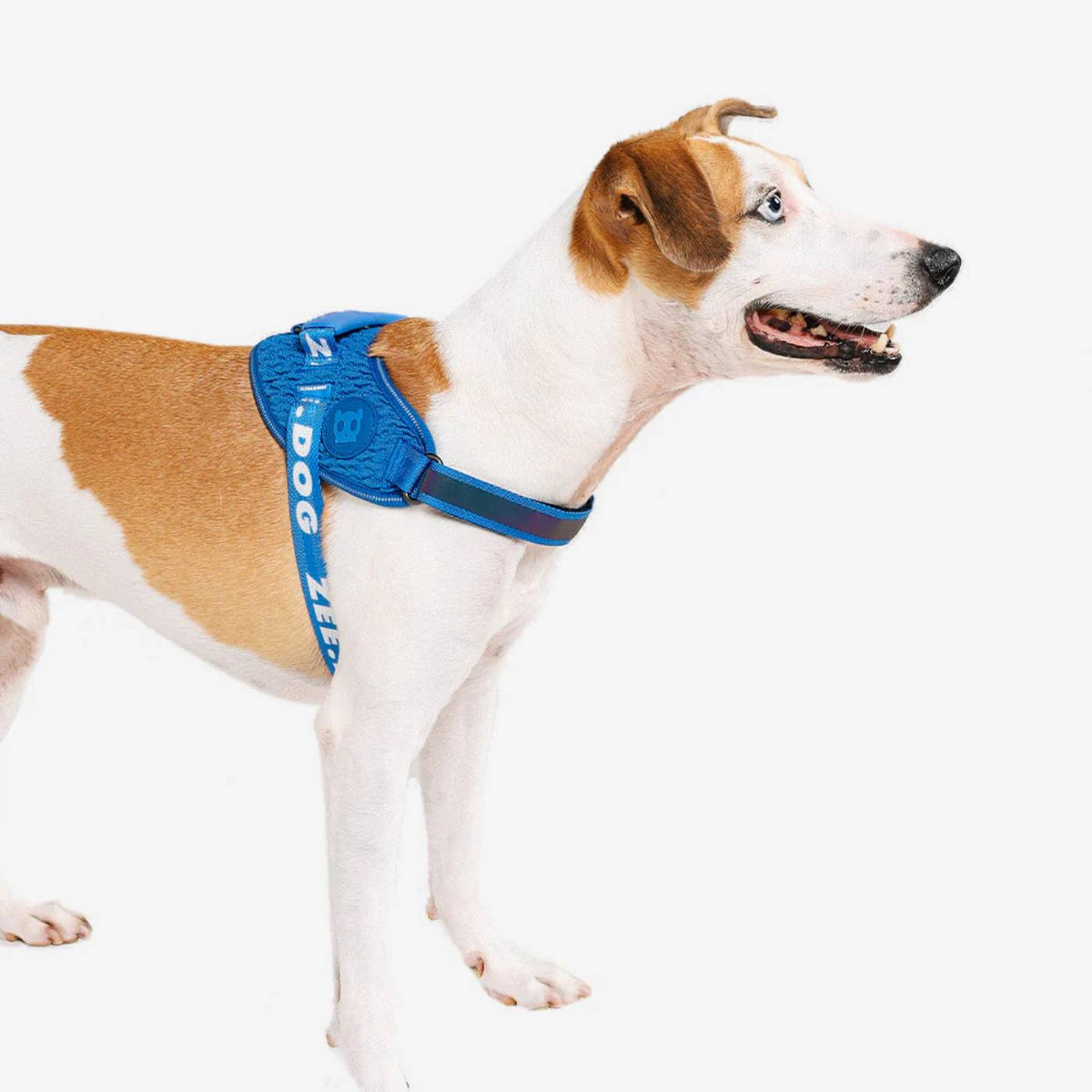 Zee.Dog Pettorina per Cani con Maniglia Flyharness Slam Dunk