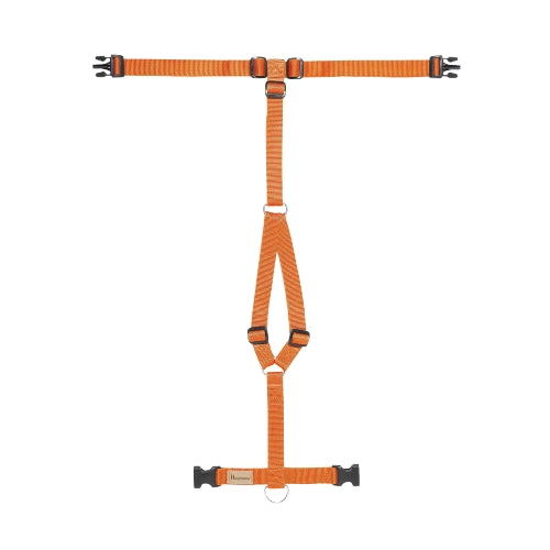 Haqihana Pettorina ad H Carrot in Nylon per Cani