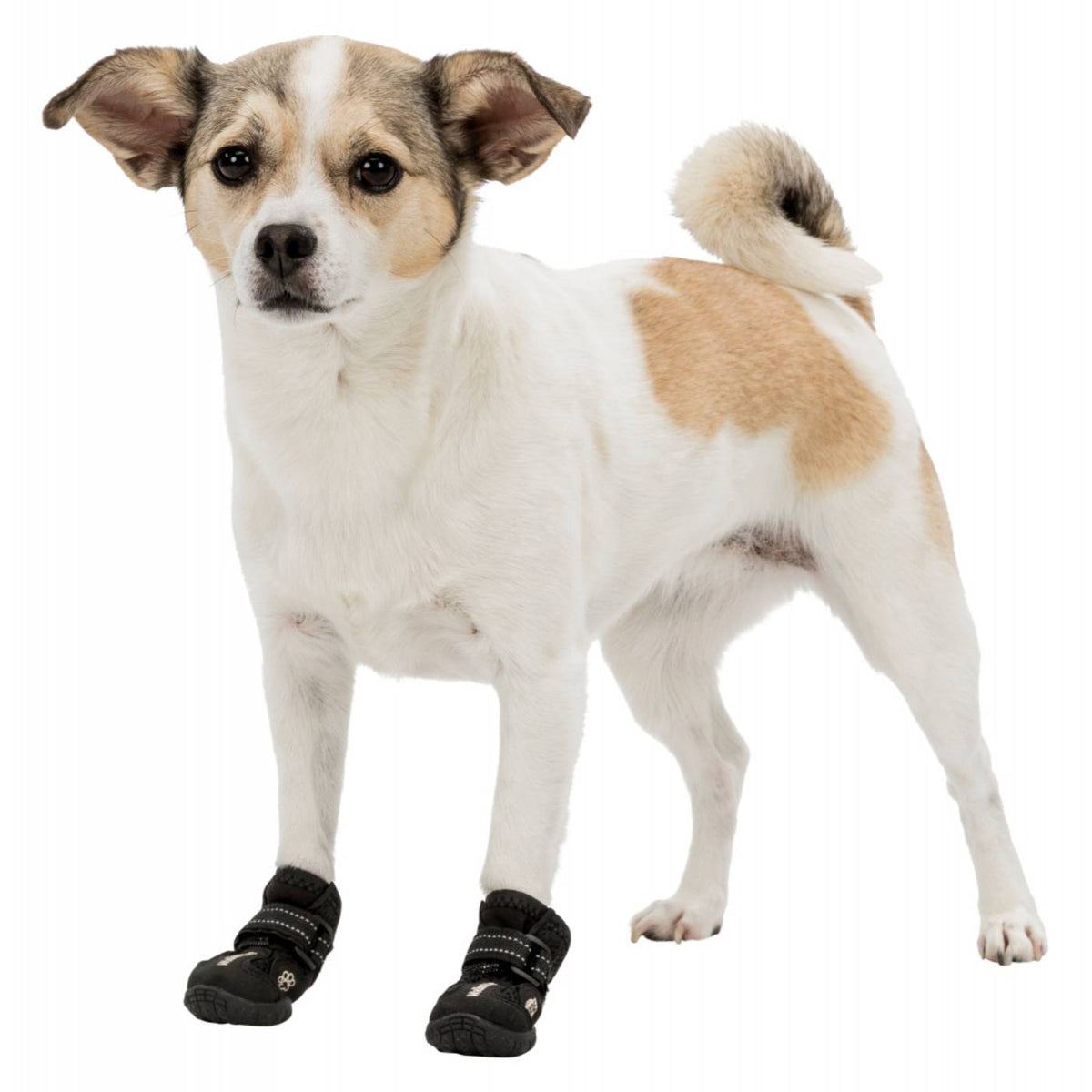 Trixie Walker Active Scarpette Protettive Zampe per Cani