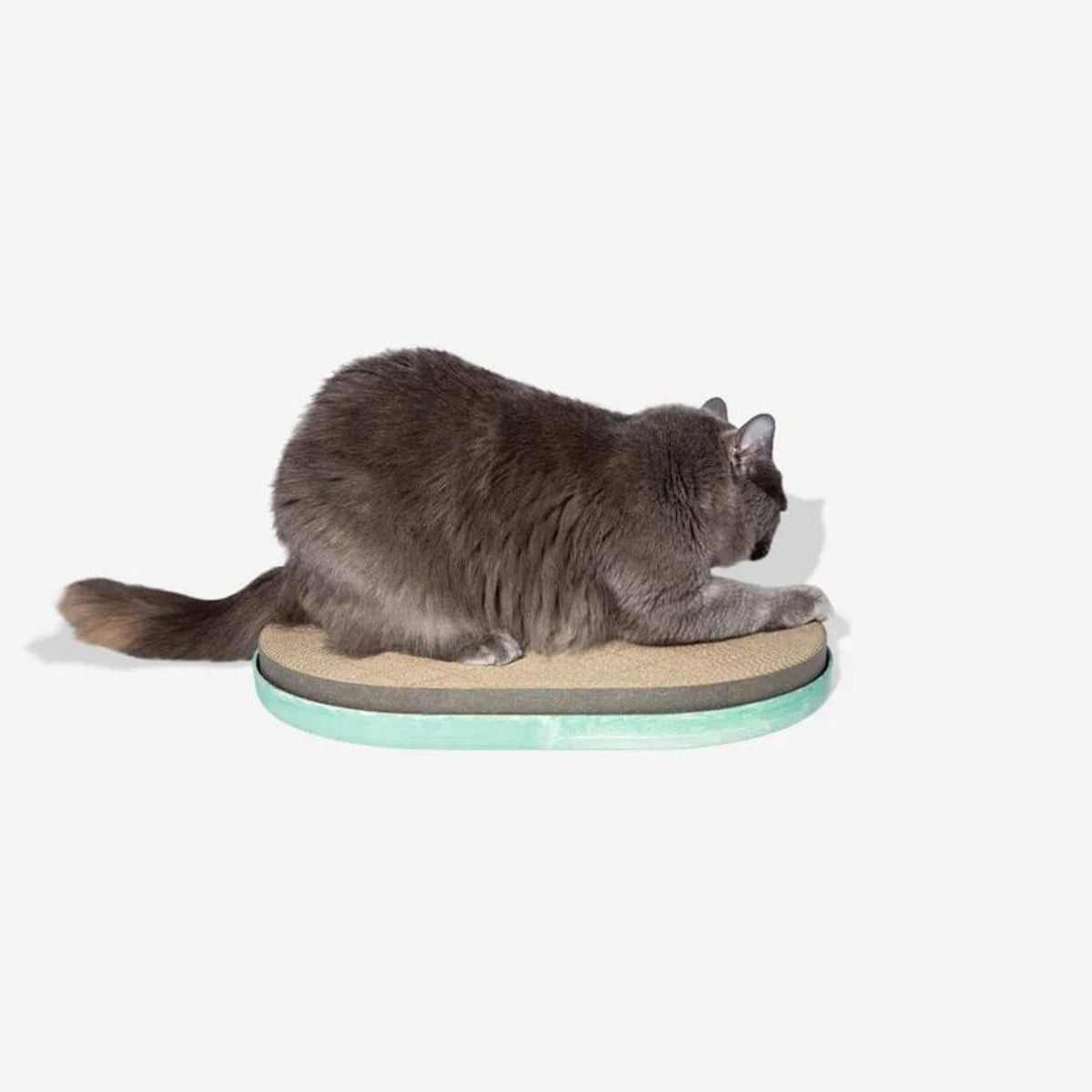 Zee.Cat Tiragraffi in Cartone Mint per Gatti 5x45,5x30cm