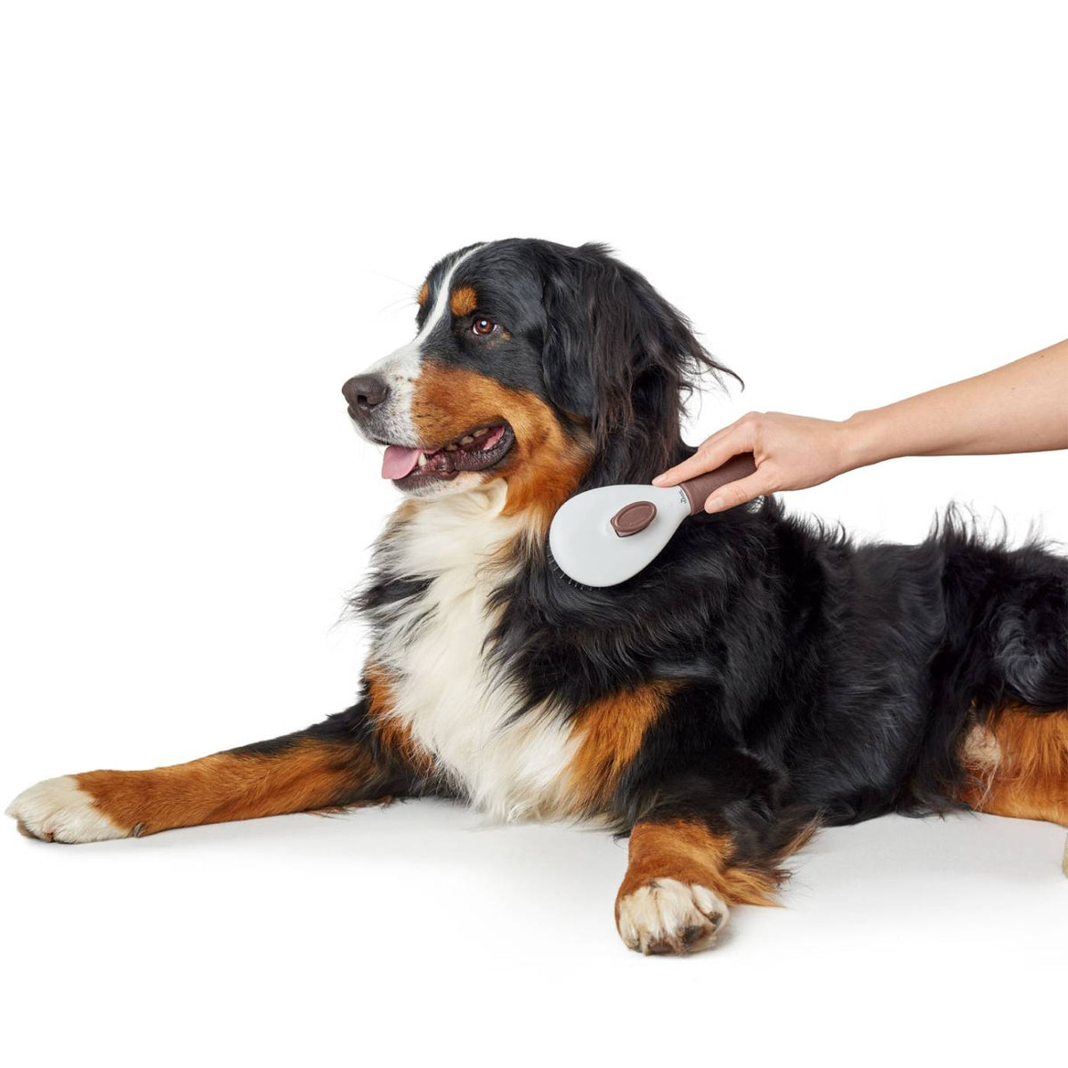 Hunter Spazzola Spa Autopulente Large 22,5 cm per Cani