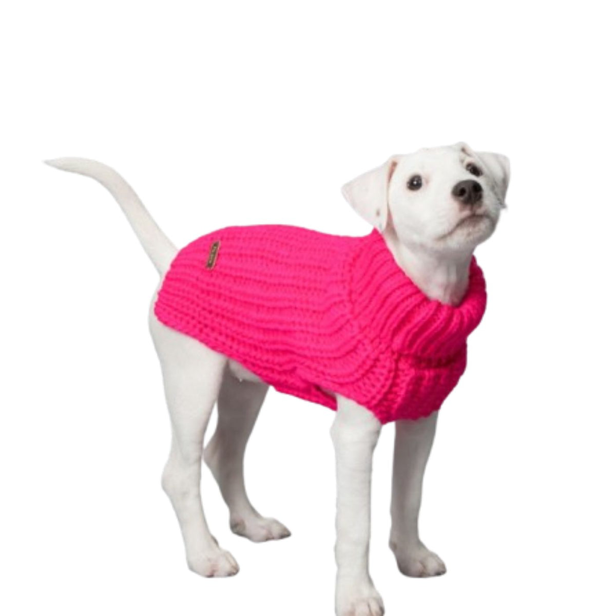 Paikka Pullover a Maglia Realizzato a Mano per Cani Fucsia