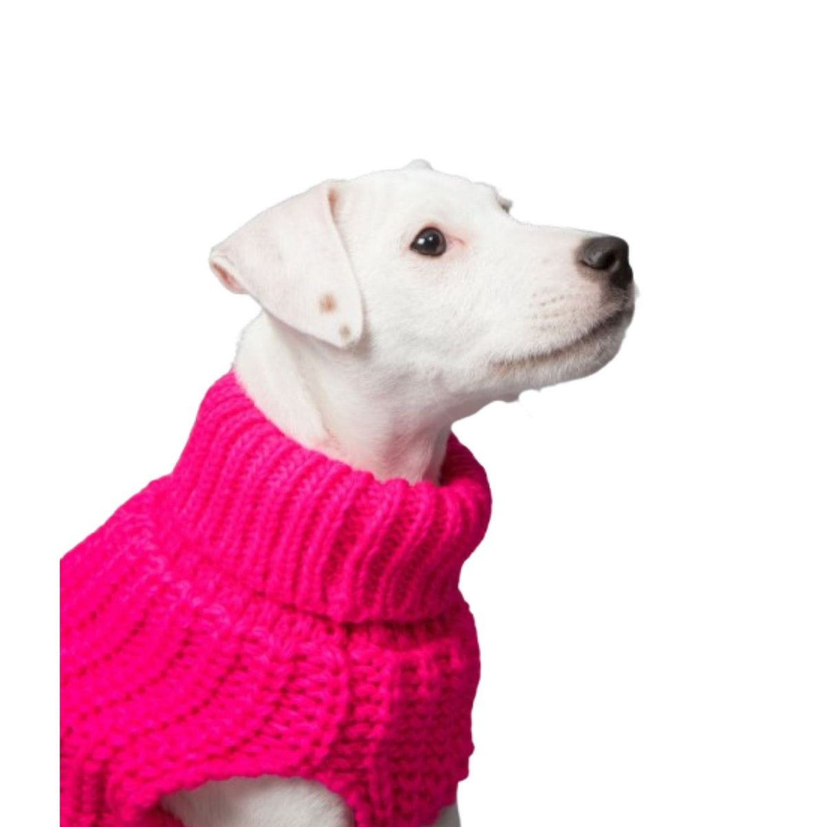 Paikka Pullover a Maglia Realizzato a Mano per Cani Fucsia