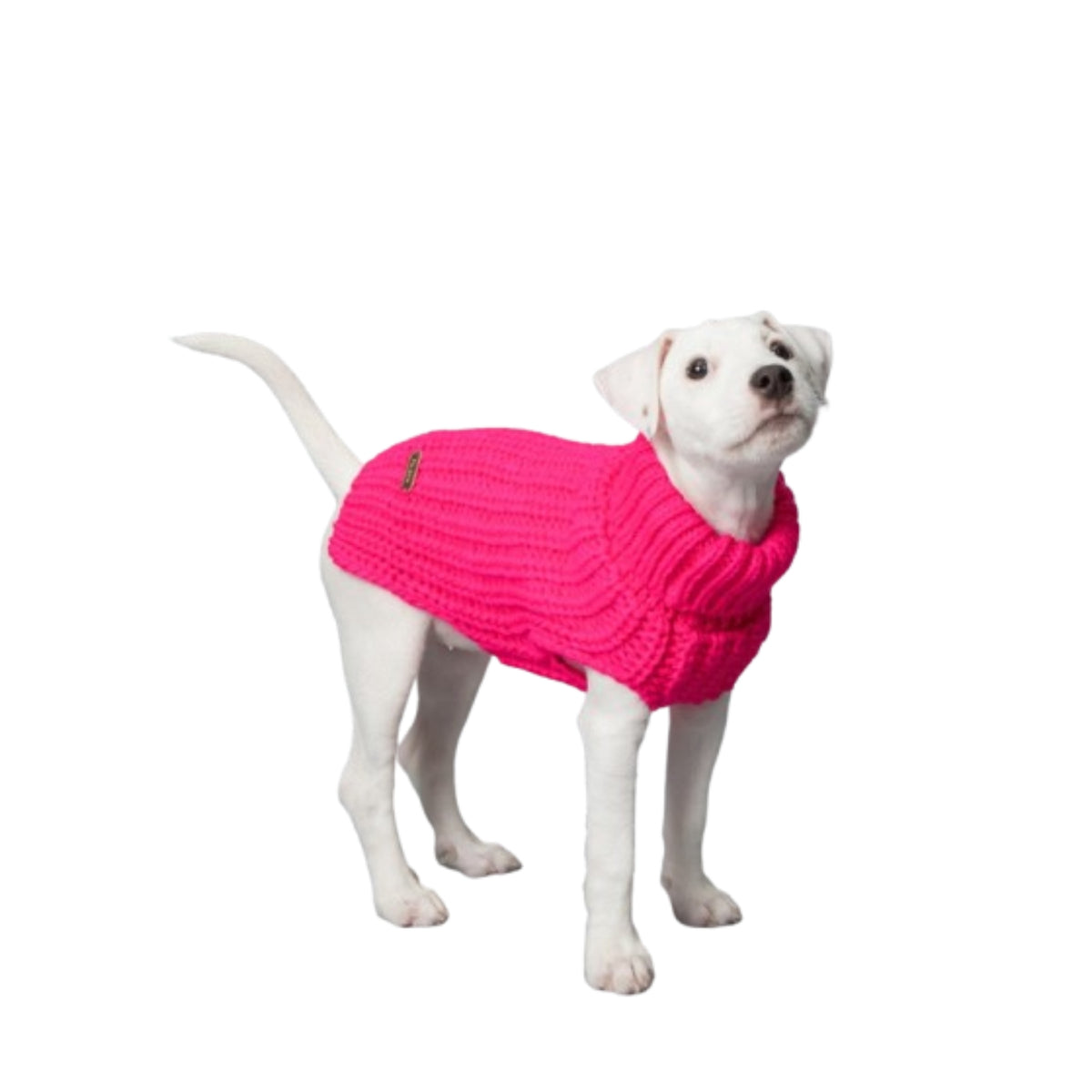 Paikka Pullover a Maglia Realizzato a Mano per Cani Fucsia
