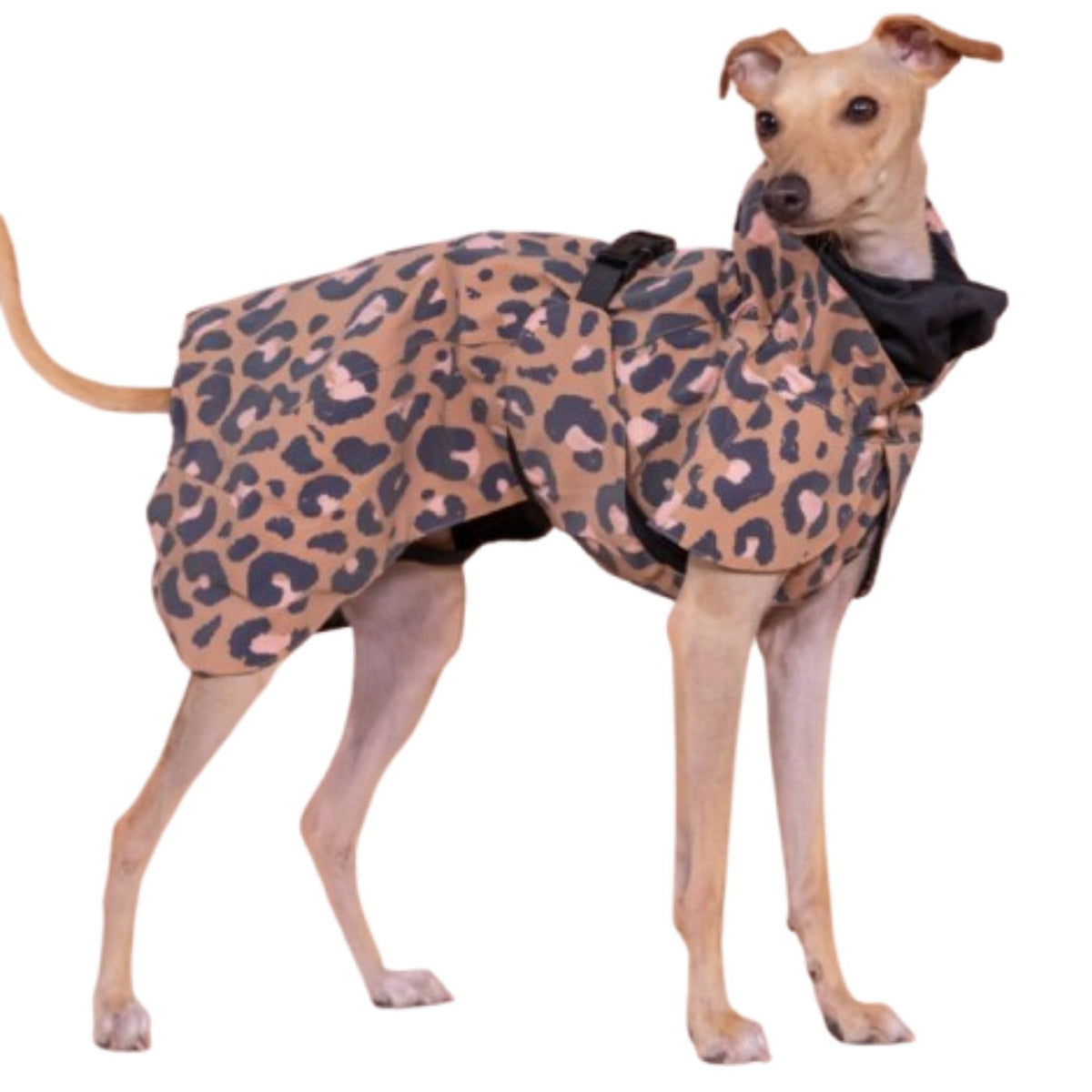 Paikka Impermeabile per Cani ad Alta Visibilità Lite Leo