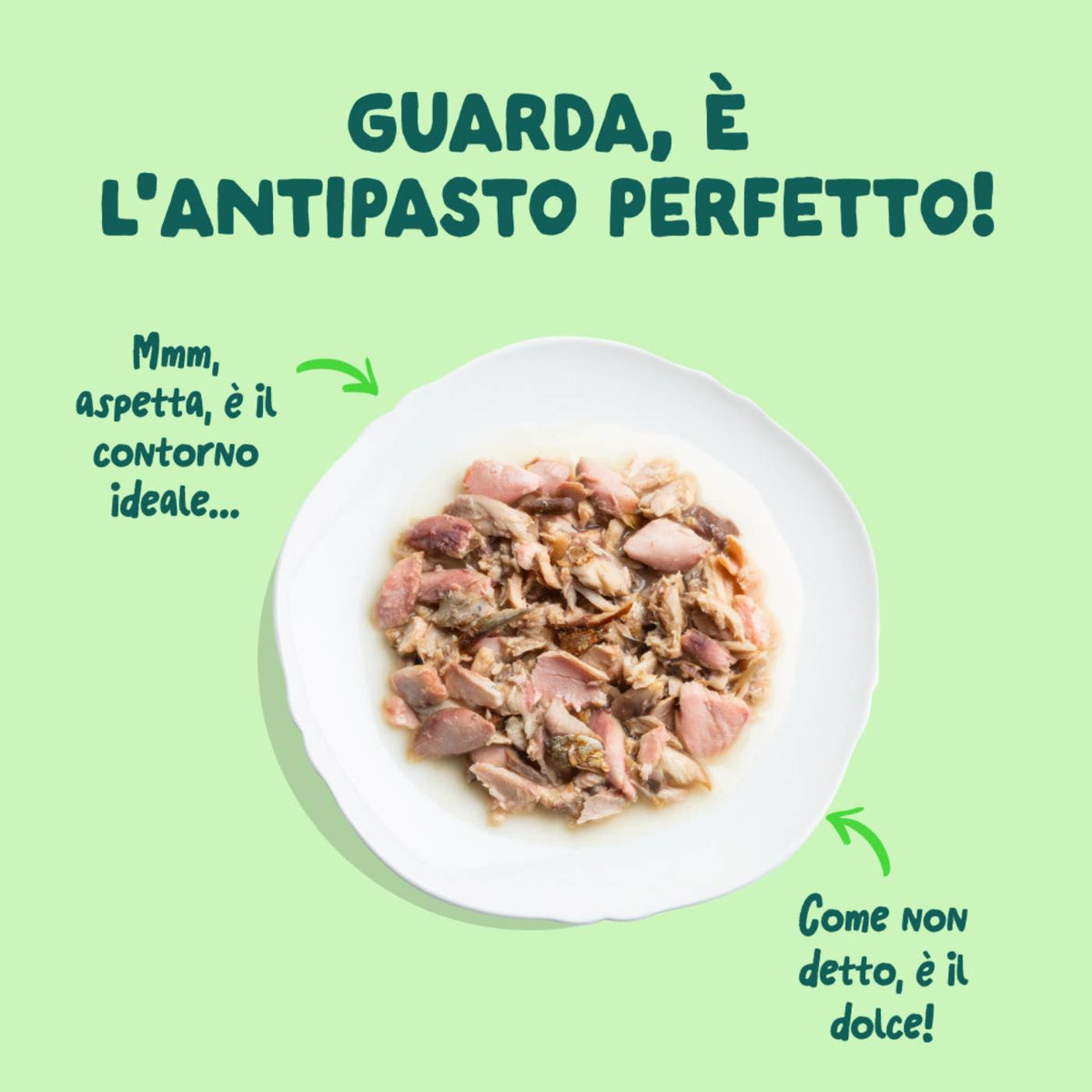 Edgard &amp; Cooper Sfilaccetti per Gatti Adulti Salmone con Sgombro in Brodo di Pesce 70 g