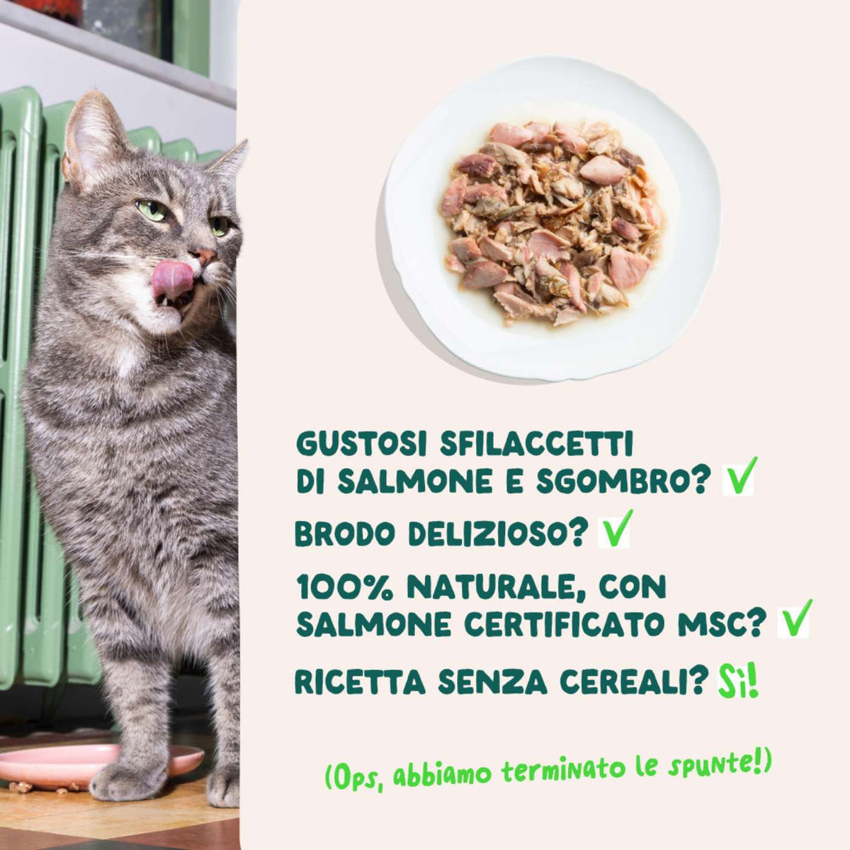 Edgard &amp; Cooper Sfilaccetti per Gatti Adulti Salmone con Sgombro in Brodo di Pesce 70 g