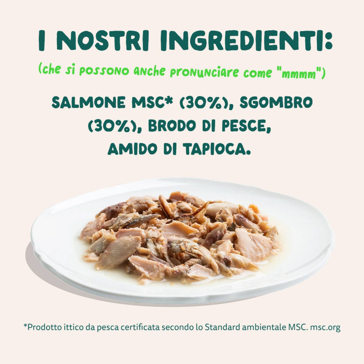 Edgard &amp; Cooper Sfilaccetti per Gatti Adulti Salmone con Sgombro in Brodo di Pesce 70 g