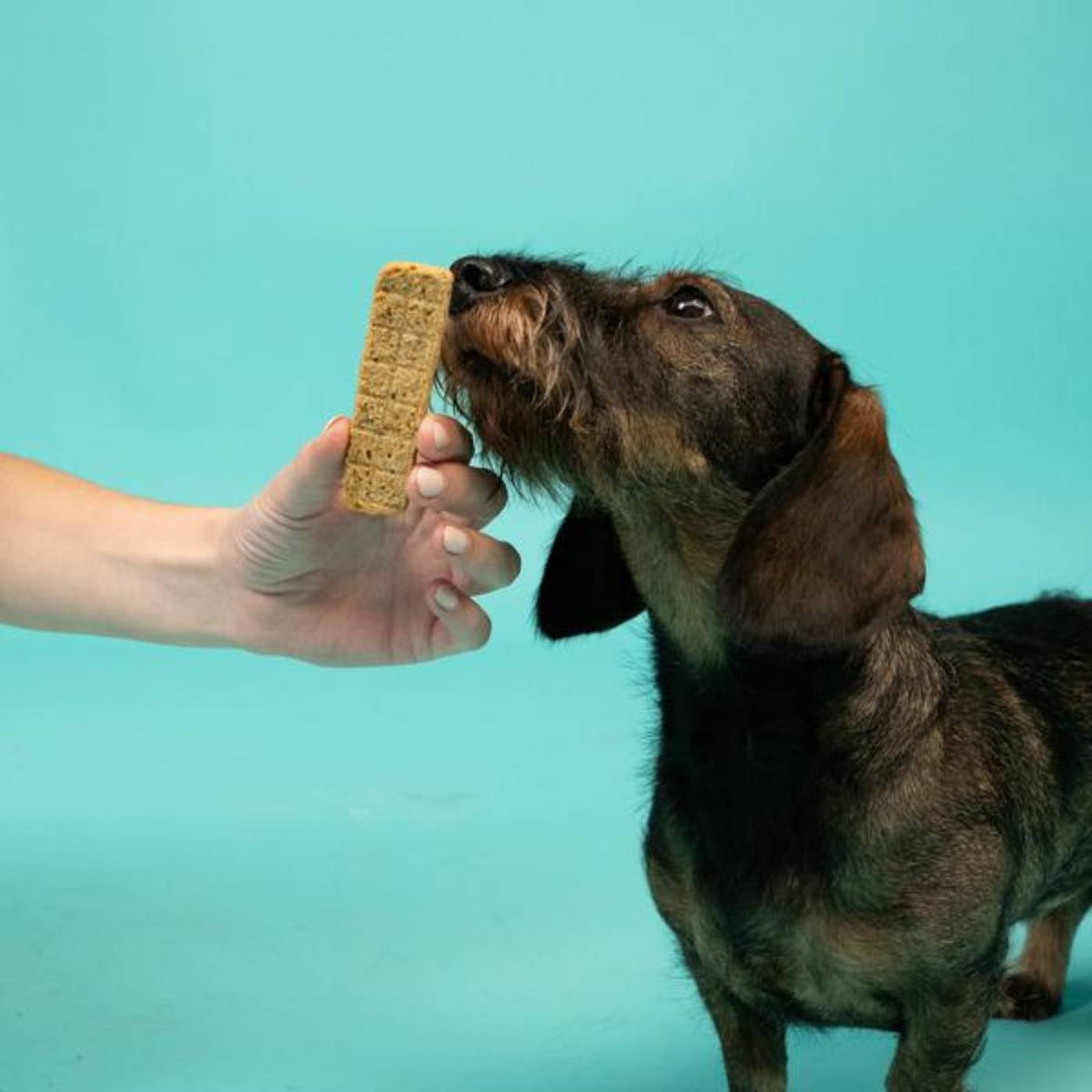 Edgard&amp;Cooper Strips Strisce di Salmone e Pollo Snack per Cani 75 g