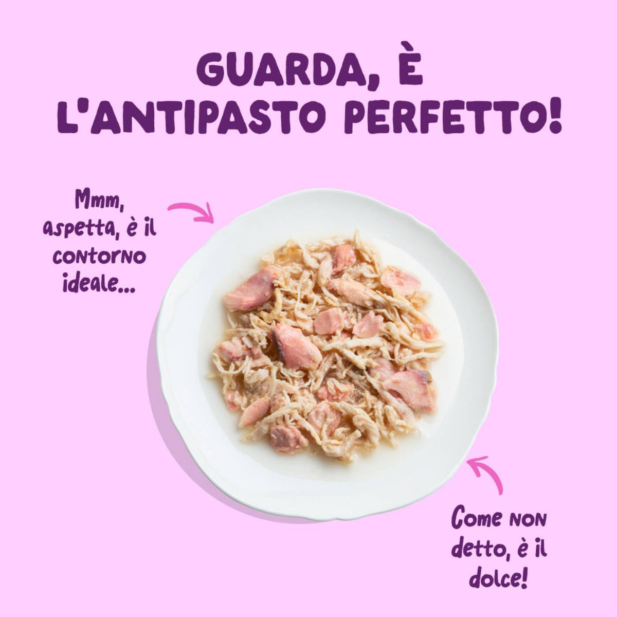 Edgard &amp; Cooper Sfilaccetti per Gatti Adulti Salmone con Pollo in Brodo 70 g