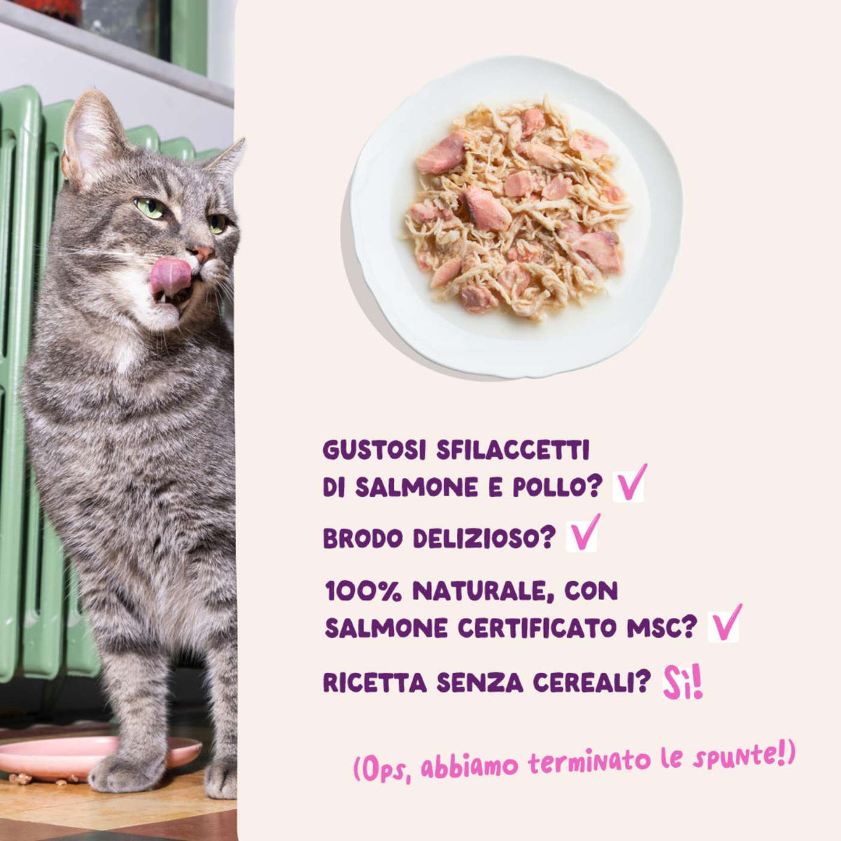 Edgard &amp; Cooper Sfilaccetti per Gatti Adulti Salmone con Pollo in Brodo 70 g