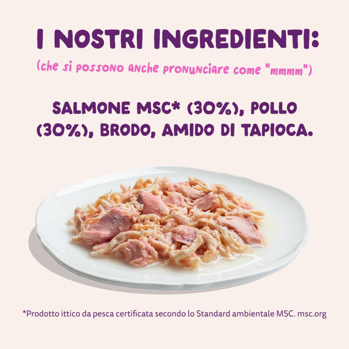 Edgard &amp; Cooper Sfilaccetti per Gatti Adulti Salmone con Pollo in Brodo 70 g