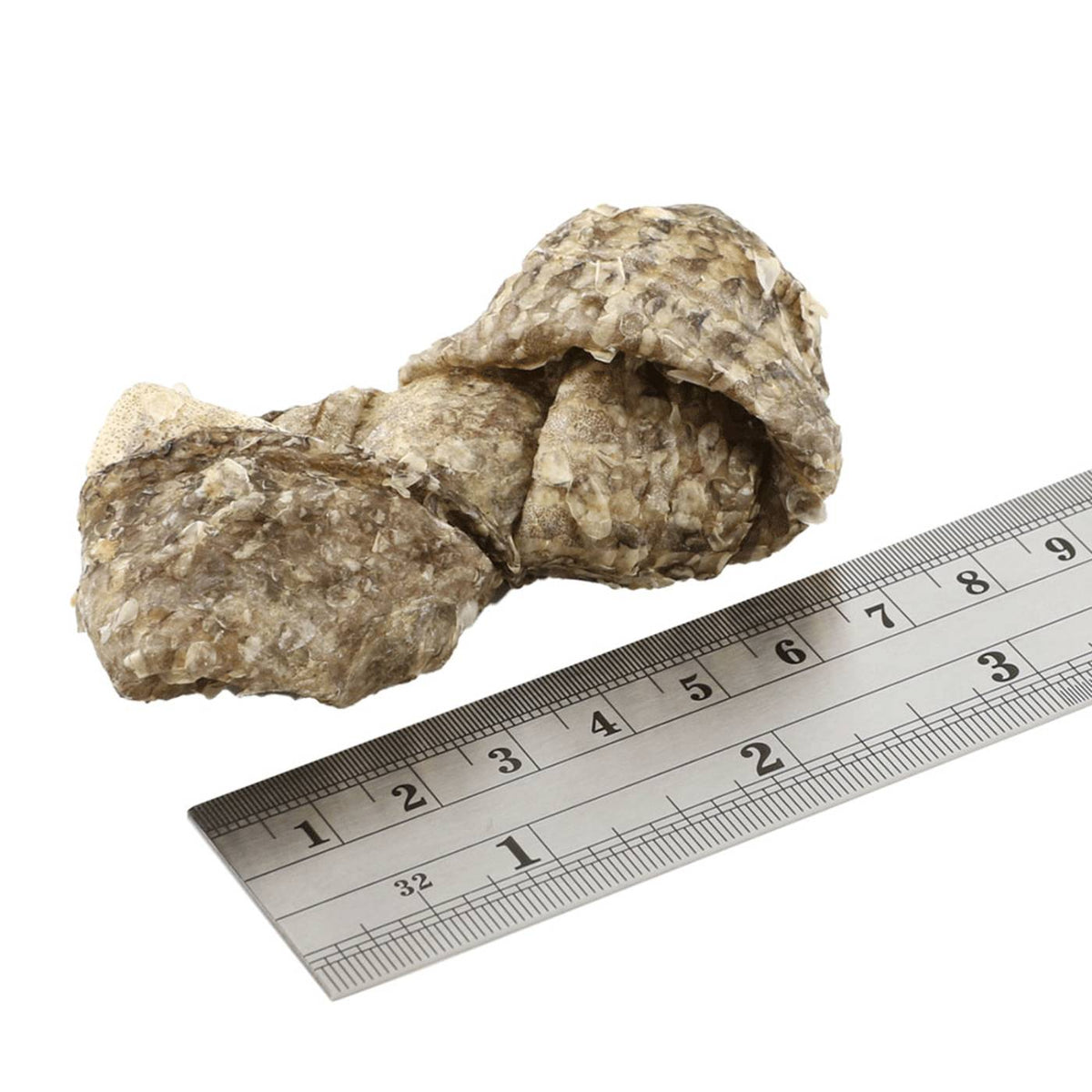 Fish4Dogs Dental Sea Jerky Fish Knots Premi Snack per Cani 500 g