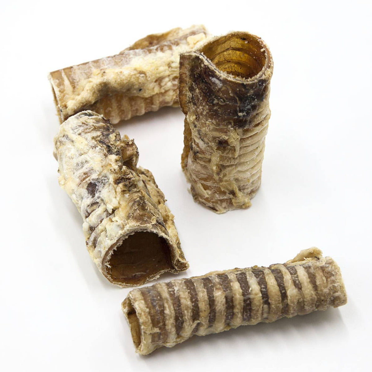 Fasson Food Trachea Bovina Masticativo per Cani Filiera Piemontese