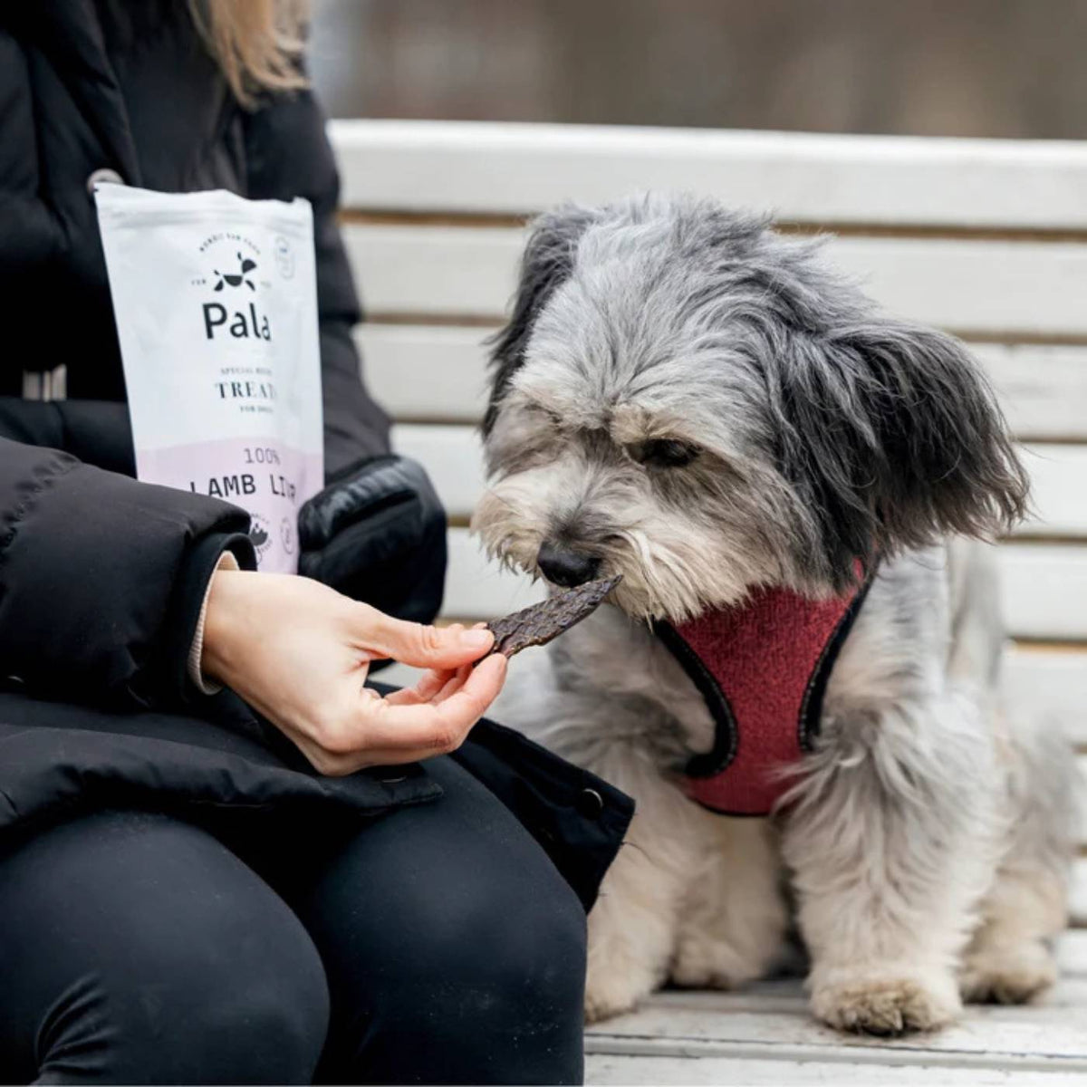 Pala Snack per Cani 100% Fegato di Agnello Monoproteici 100 g