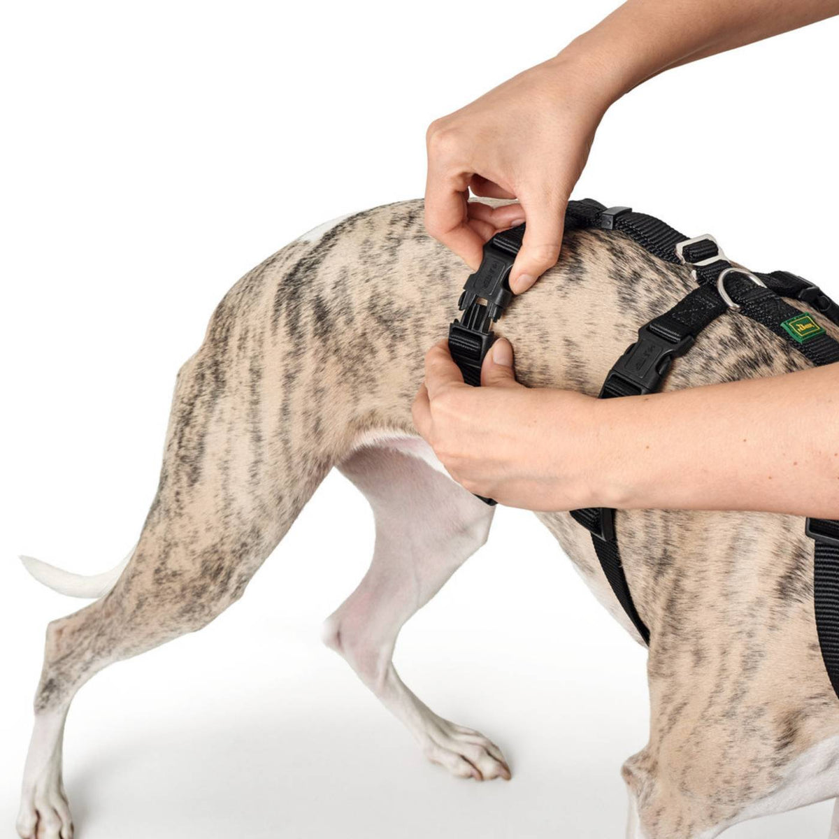 Hunter Pettorina Antifuga per Cani Vario Rapid Antip. Nylon