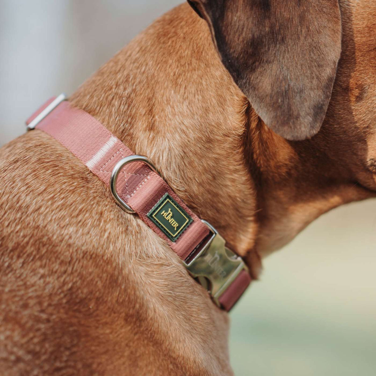 Hunter Collare per Cani Regolabile Inari Alu-Strong Rosso Pastello