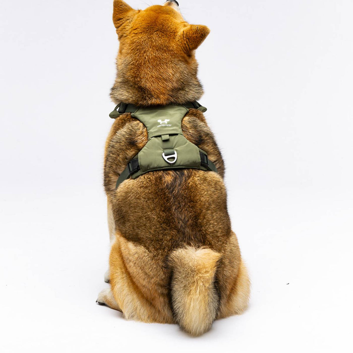 United Pets Pettorina H per Cani Imbottita Linea CityLife Verde Militare