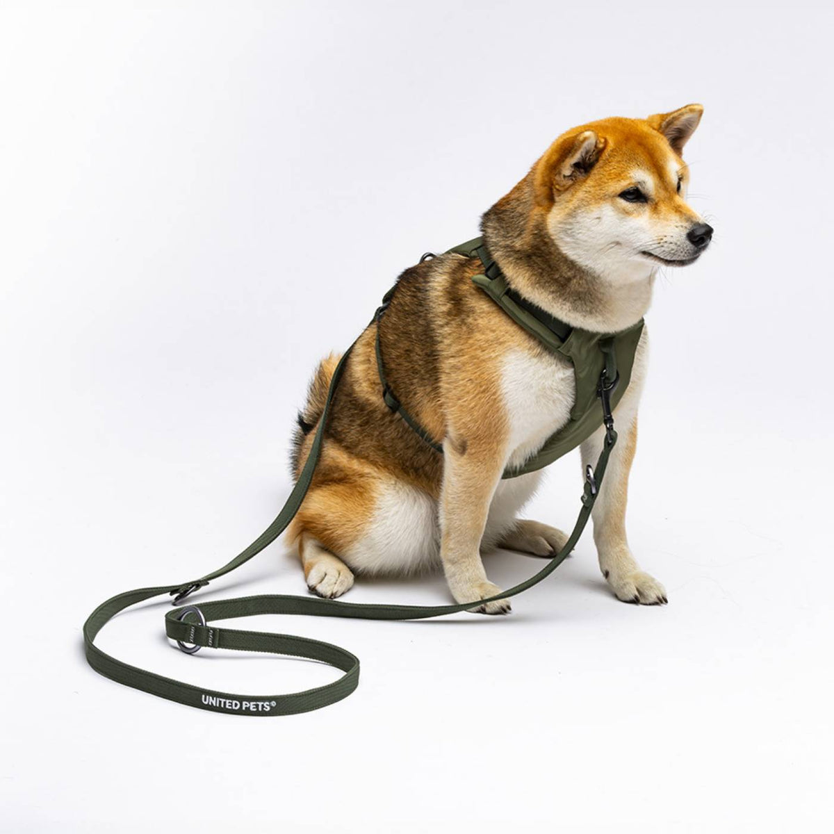 United Pets Pettorina H per Cani Imbottita Linea CityLife Verde Militare
