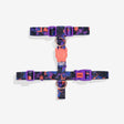 XS torace 23-38 cm