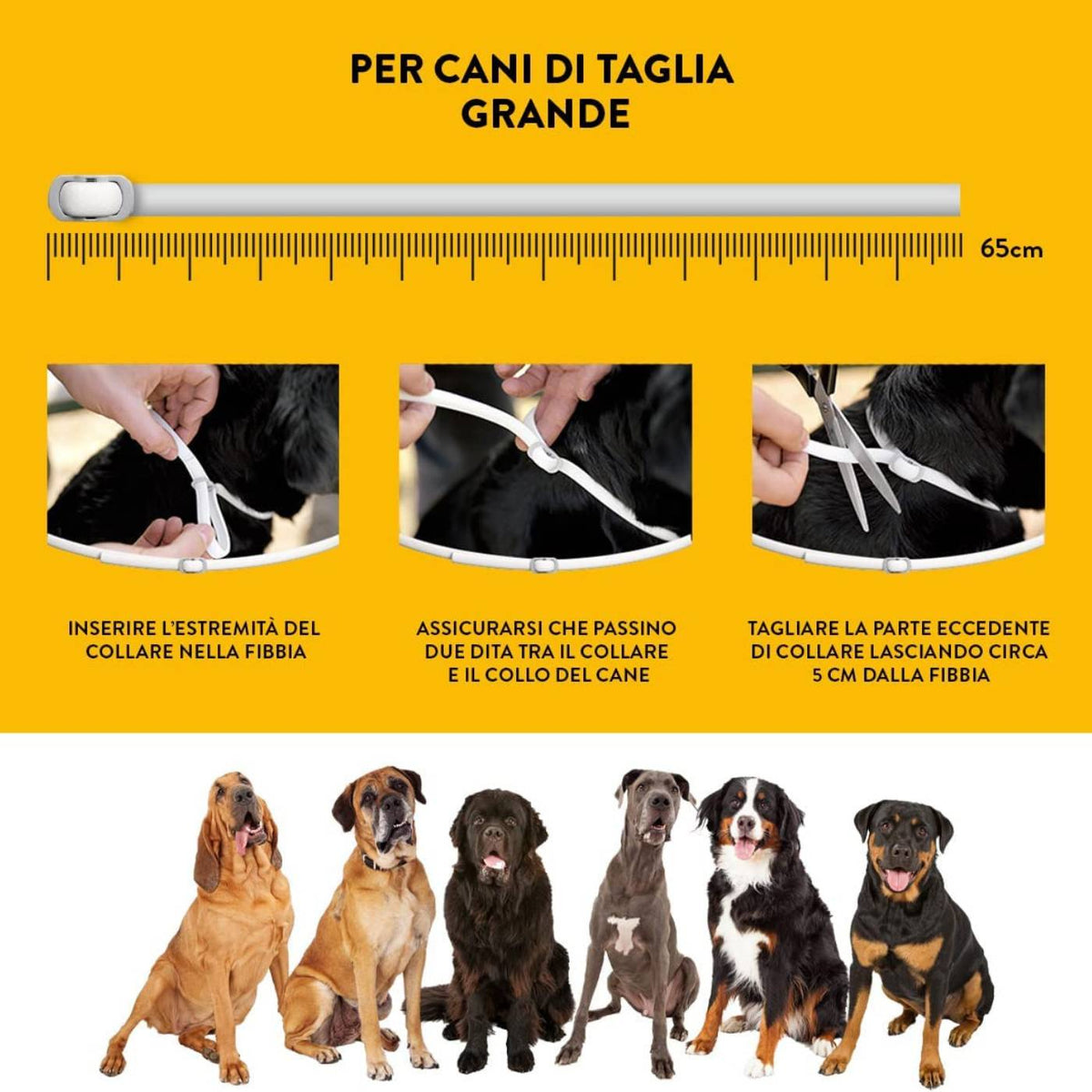 Scalibor Collare Antiparassitario per Cani