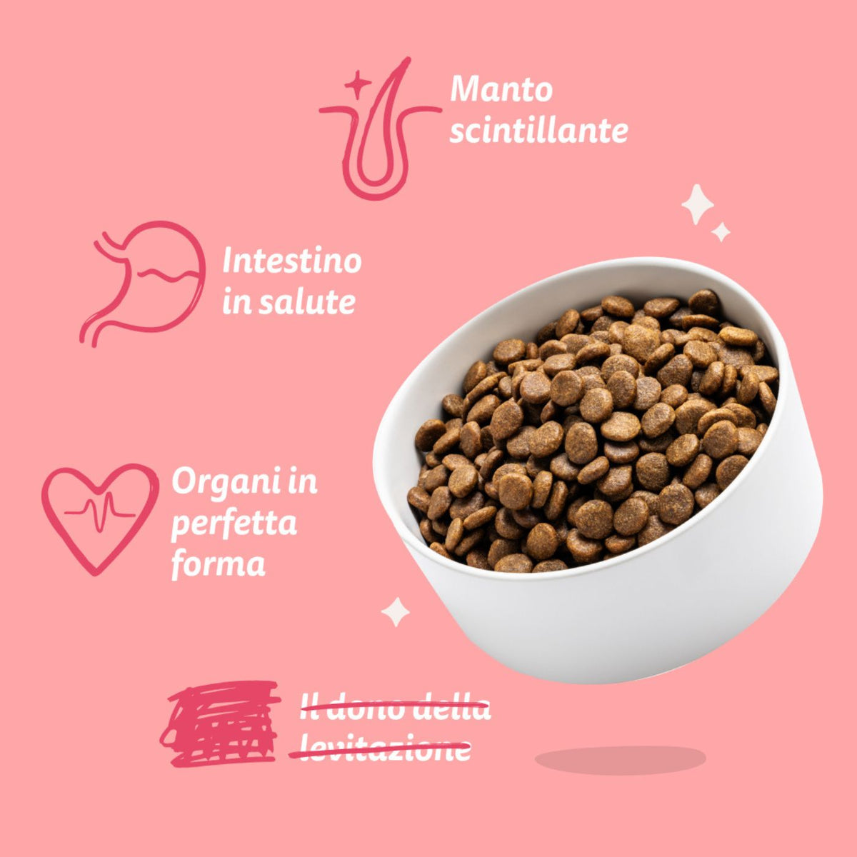 Edgard &amp; Cooper Adult Carne Fresca di Manzo e Pollo Biologici Gluten Free per Cani