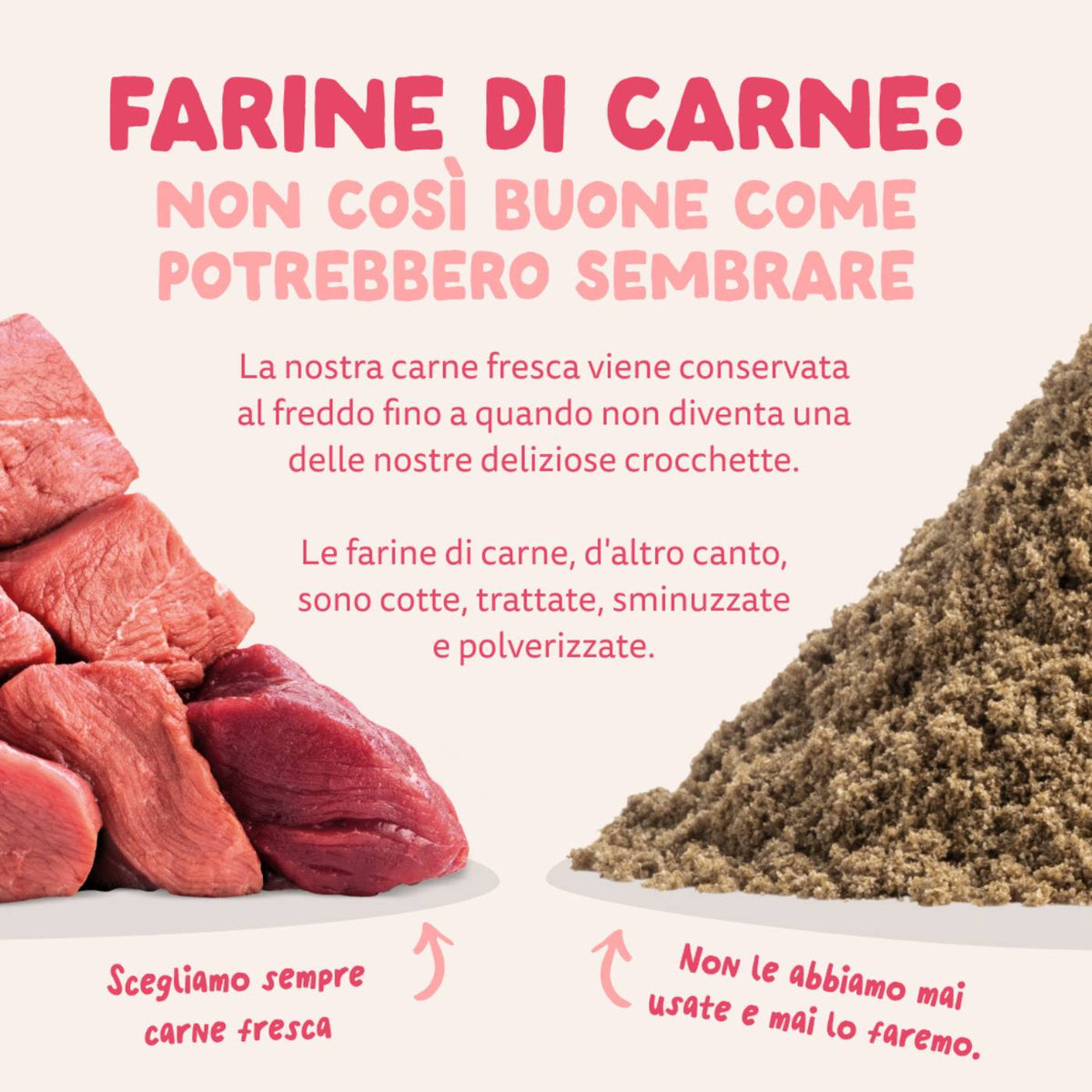Edgard &amp; Cooper Adult Carne Fresca di Manzo e Pollo Biologici Gluten Free per Cani
