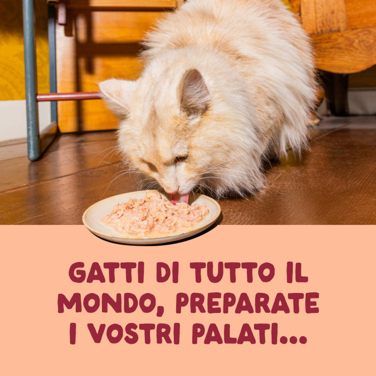 Edgard &amp; Cooper Sfilaccetti per Gatti Adulti Pollo in Brodo di Pollo 70 g