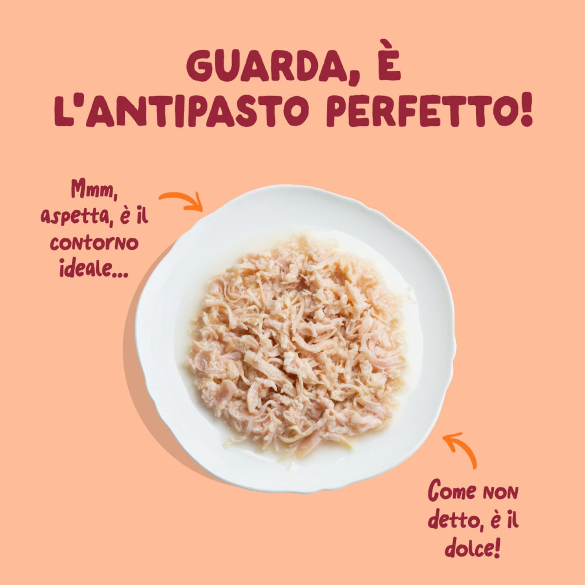 Edgard &amp; Cooper Sfilaccetti per Gatti Adulti Pollo in Brodo di Pollo 70 g