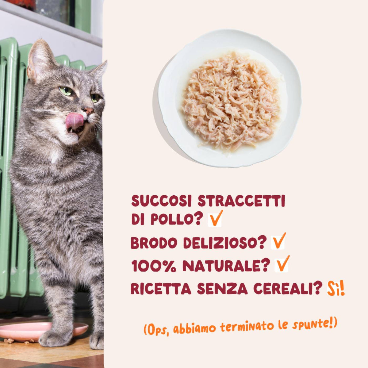 Edgard &amp; Cooper Sfilaccetti per Gatti Adulti Pollo in Brodo di Pollo 70 g