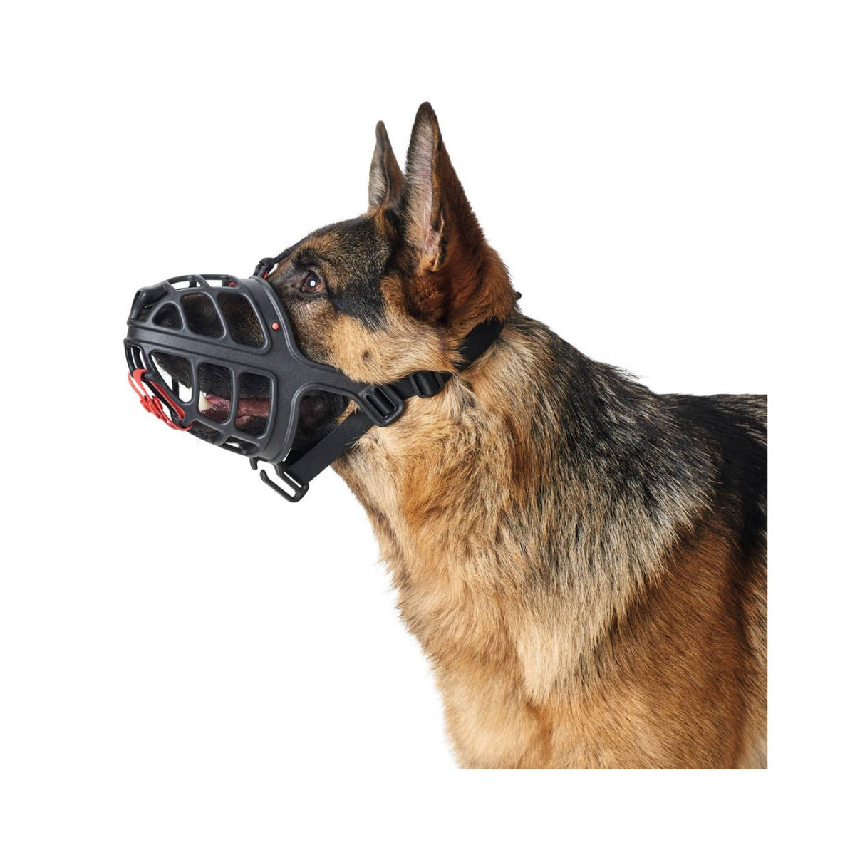 Hunter Museruola per Cani Albury Nera
