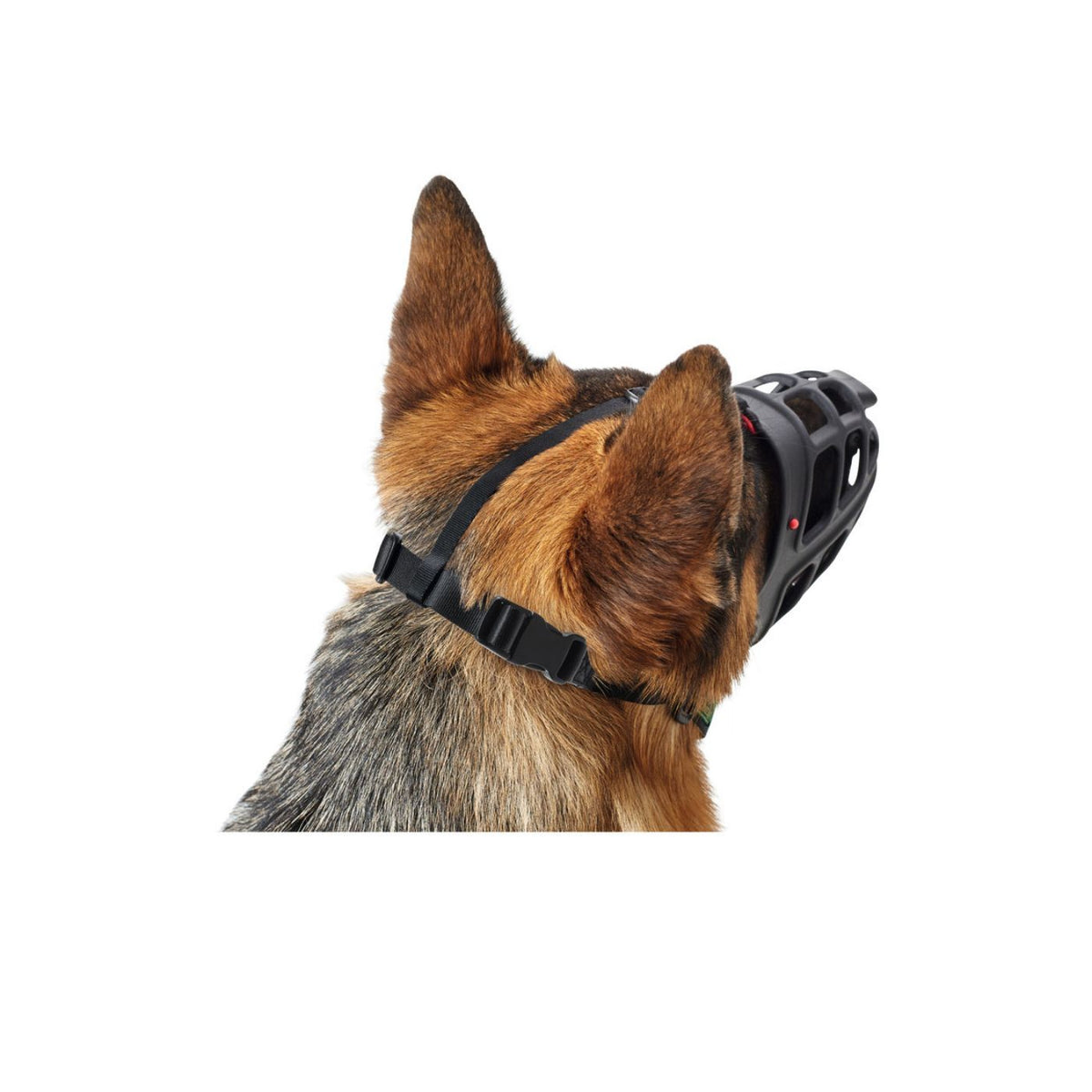 Hunter Museruola per Cani Albury Nera