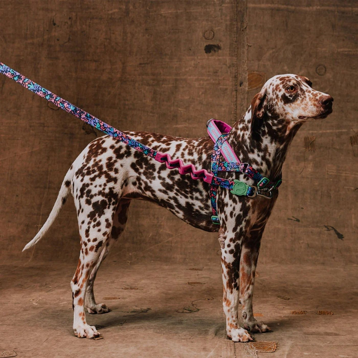Zee.Dog Pettorina Norvegese Softer-Walk per Cani Reebok Aerobic