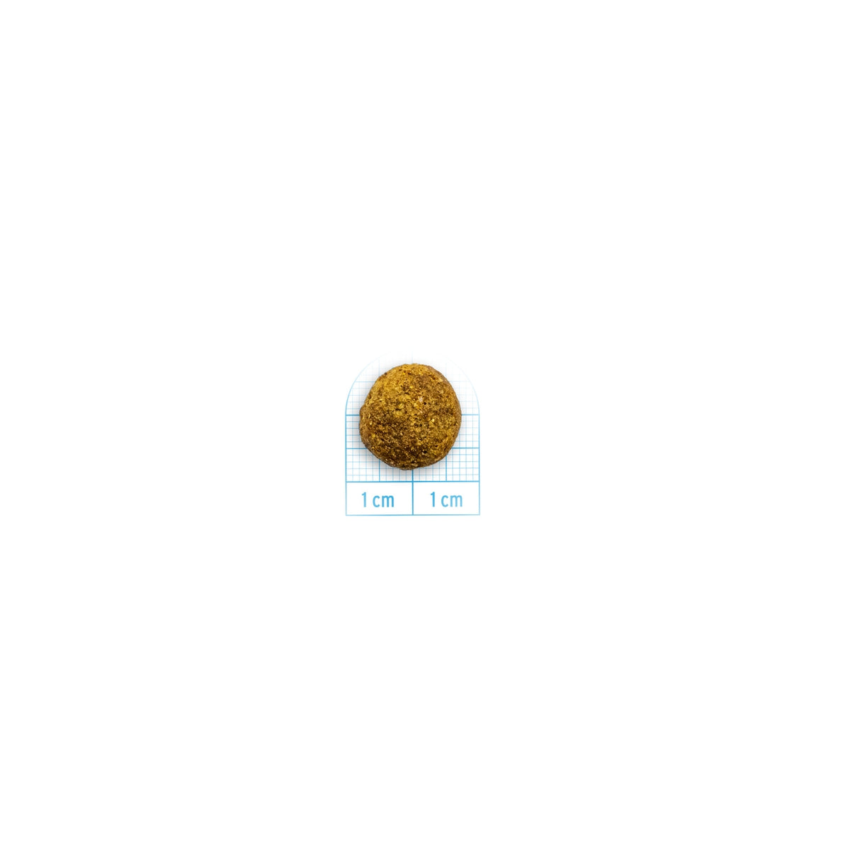 Forza 10 Intestinal Colon Fase 2 Mini e Toy Pesce per Cani Adulti 1,5 Kg