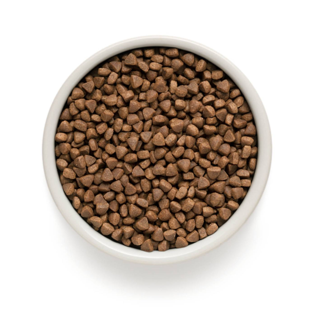 Grandorf Cat Adult Indoor Agnello e Riso Integrale per Gatti Adulti