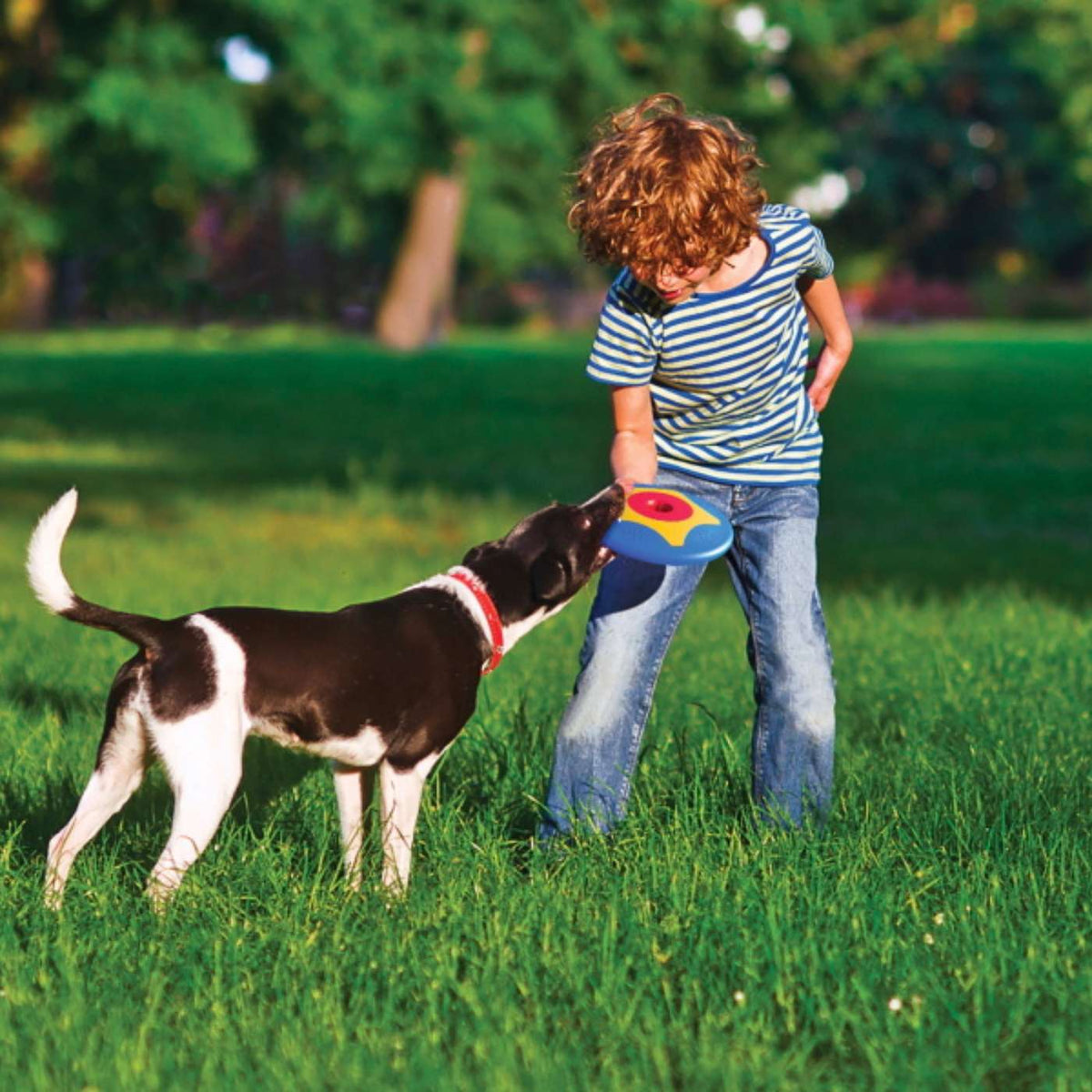 Bama Pet Frisbee Gioco per Cani Trotto Disk